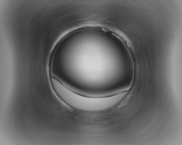 X0000115661334200911190957