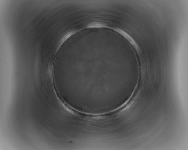 X0000115661337200911190957