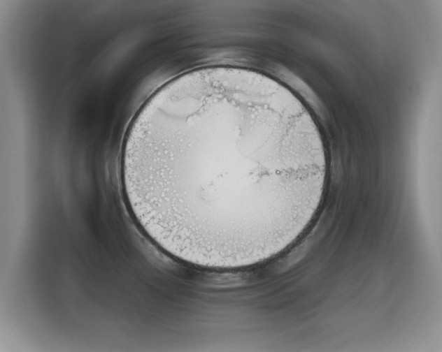X0000115661338200911190957