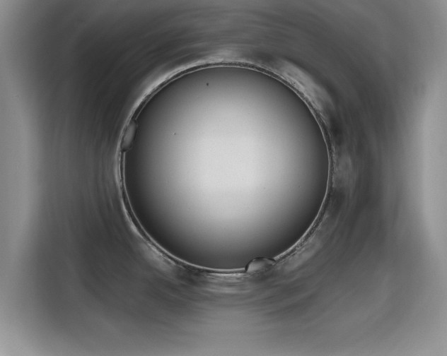 X0000115661342200911190957