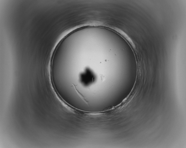 X0000115661343200911190957