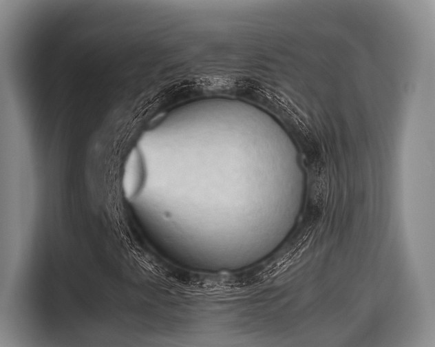 X0000115661345200911190957