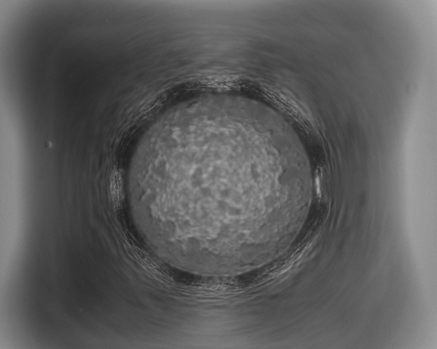 X0000115661347200911190956