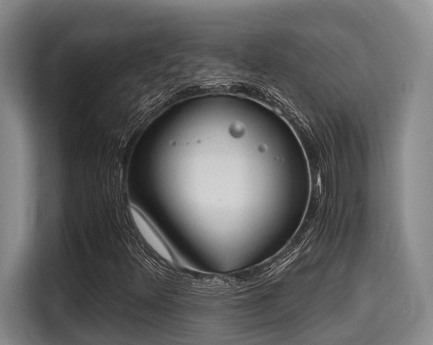 X0000115661348200911190956