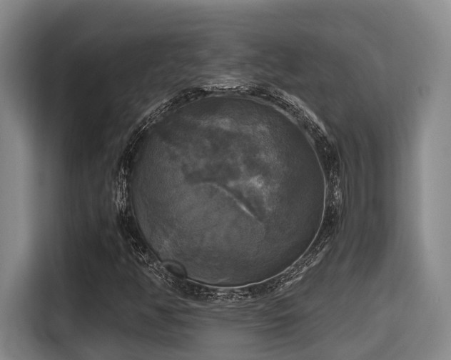 X0000115661350200911190956