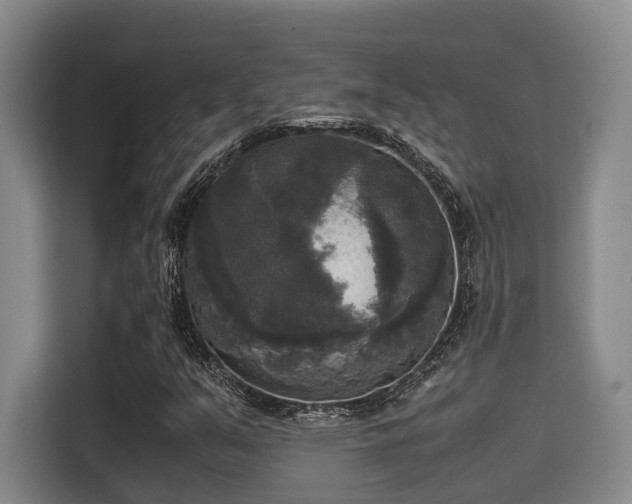 X0000115661351200911190956