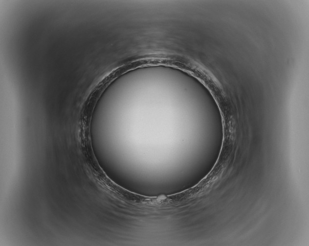 X0000115661352200911190956