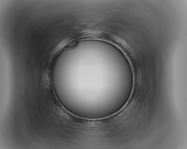 X0000115661354200911190956