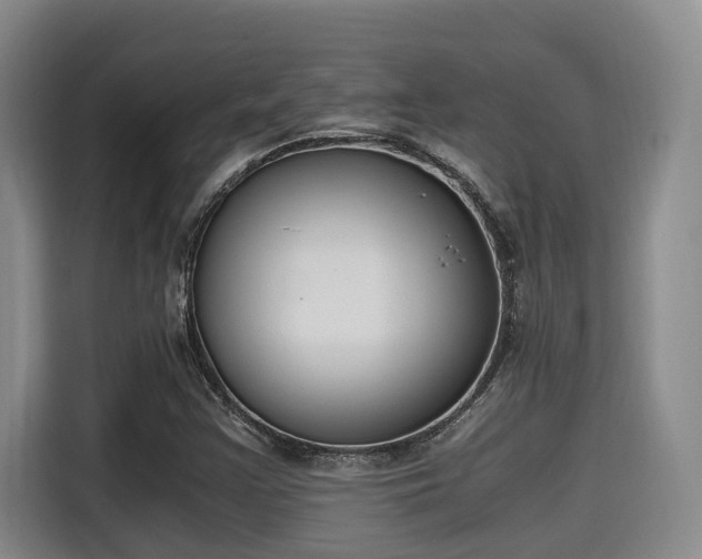 X0000115661355200911190956