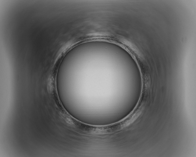 X0000115661357200911190956