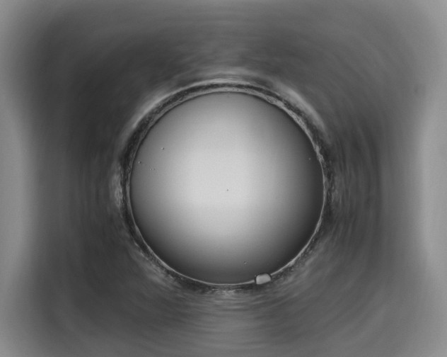 X0000115661360200911190956