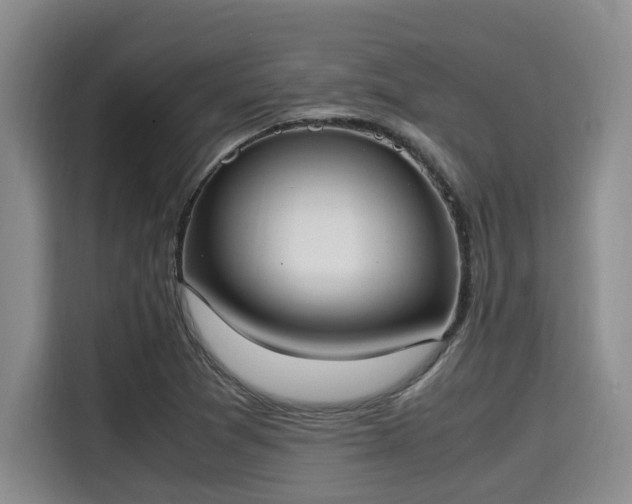 X0000115661361200911190956