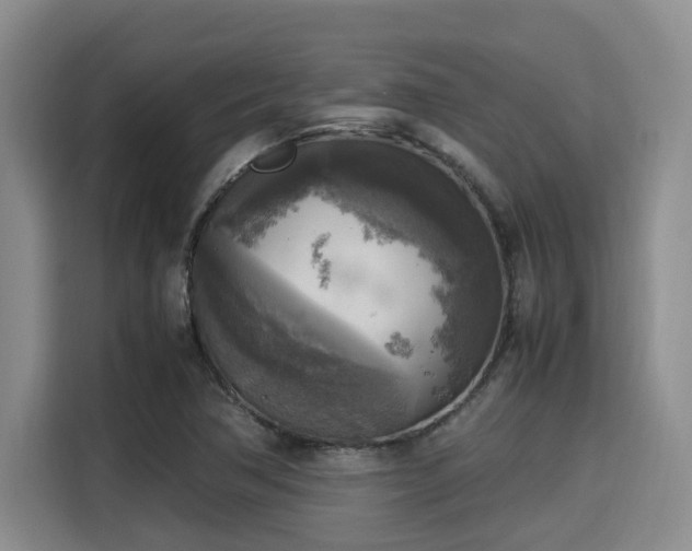 X0000115661362200911190956