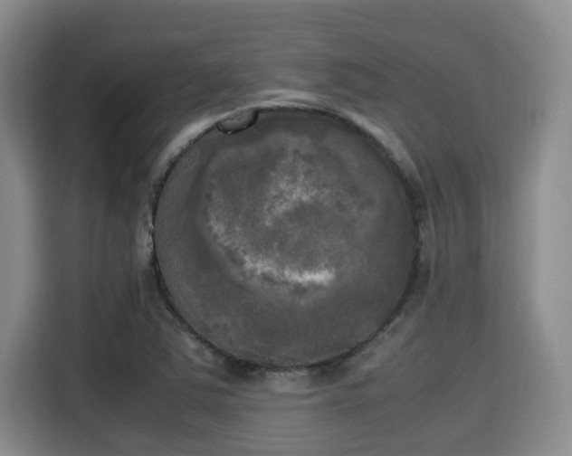 X0000115661363200911190956