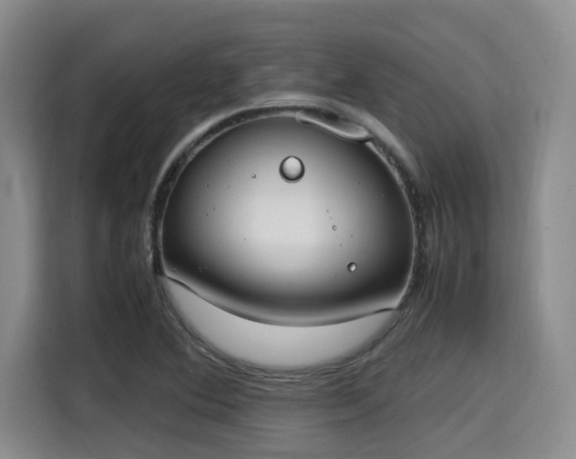 X0000115661364200911190956