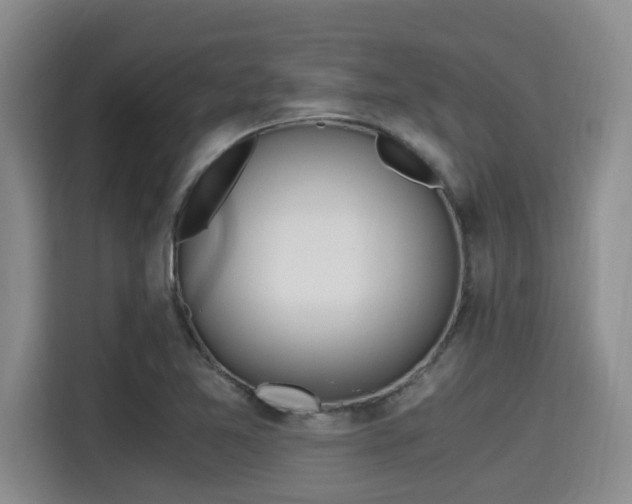 X0000115661365200911190956