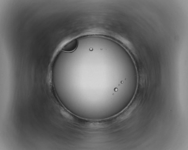 X0000115661366200911190956