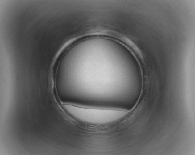 X0000115661368200911190956