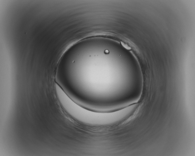 X0000115661369200911190956