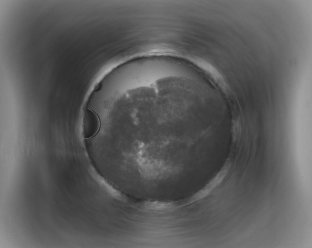 X0000115661374200911190956