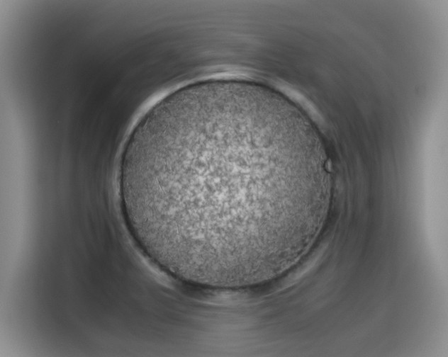 X0000115661375200911190956