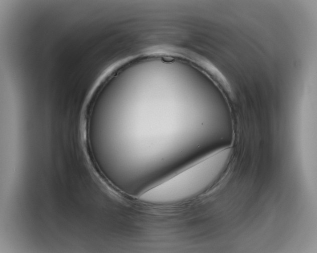 X0000115661376200911190956