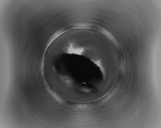 X0000115661378200911190956