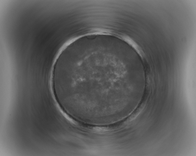 X0000115661379200911190956