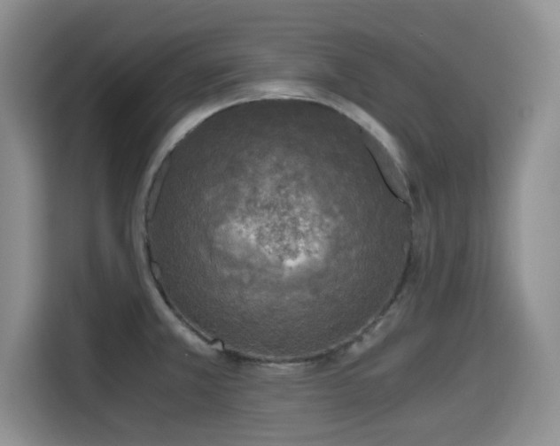 X0000115661381200911190956
