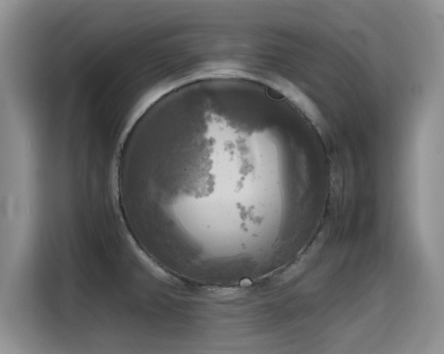 X0000115661382200911190956