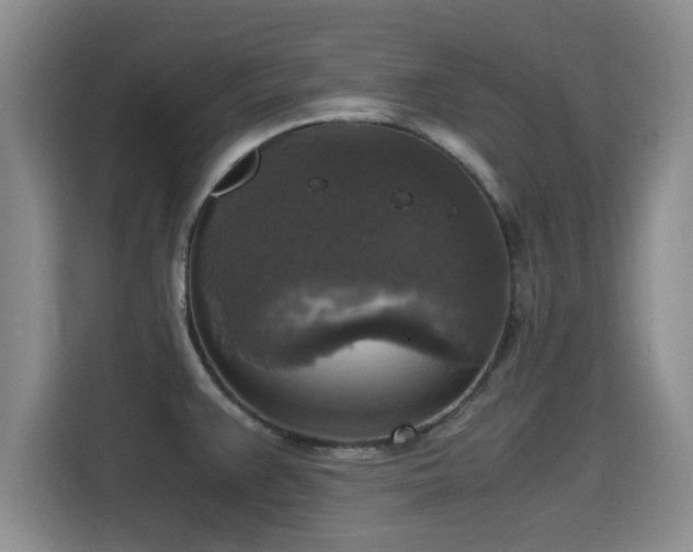 X0000115661383200911190956