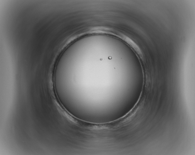 X0000115661384200911190956
