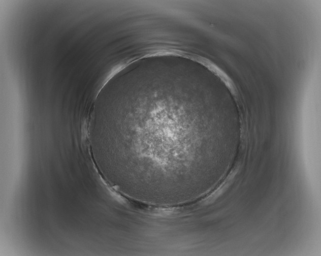X0000115661385200911190956