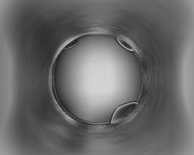 X0000115661387200911190956