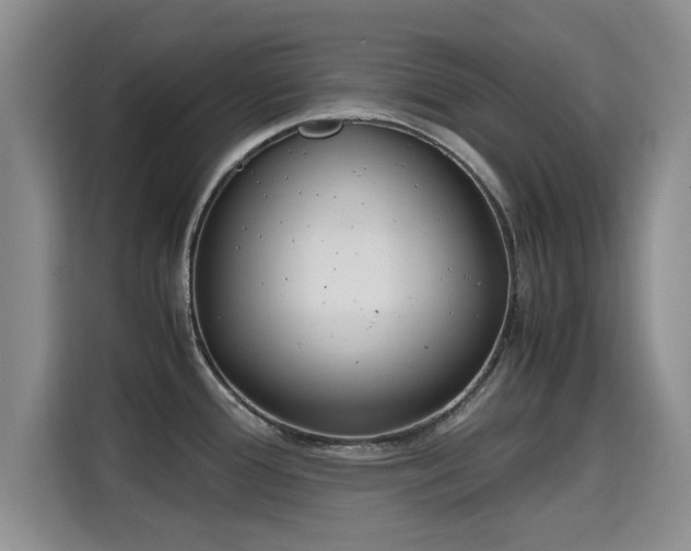 X0000115661388200911190956