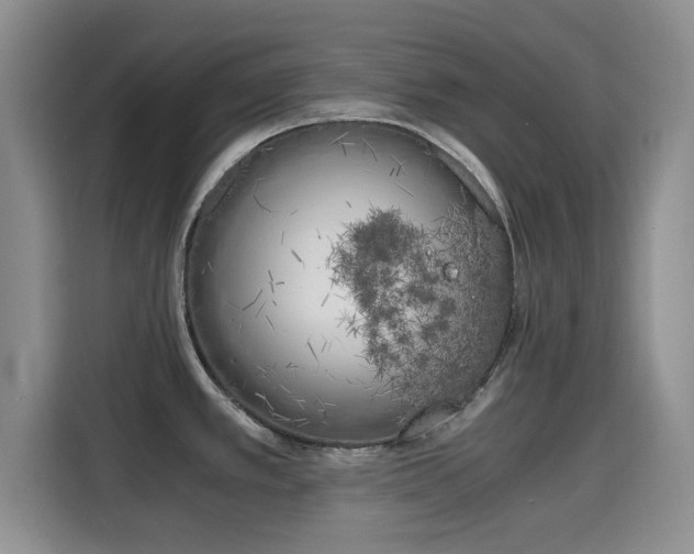 X0000115661389200911190956