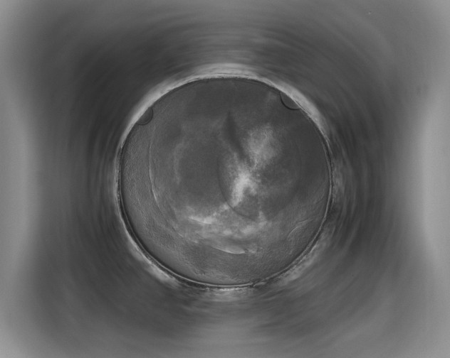 X0000115661390200911190956