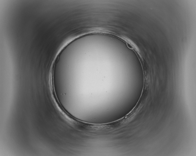 X0000115661391200911190956