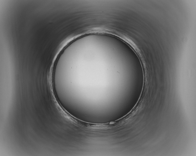 X0000115661392200911190956