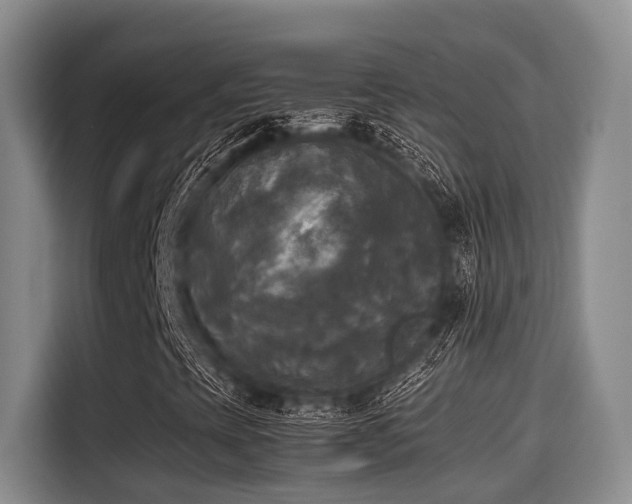 X0000115661393200911190955