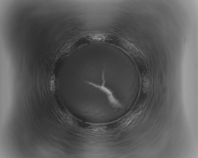 X0000115661394200911190955