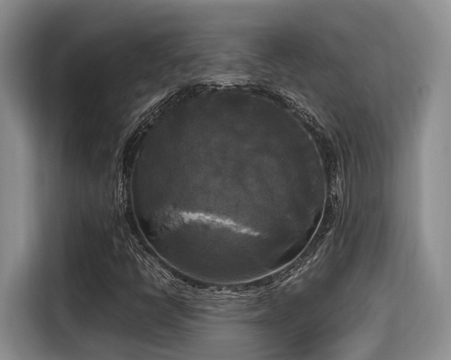 X0000115661398200911190955