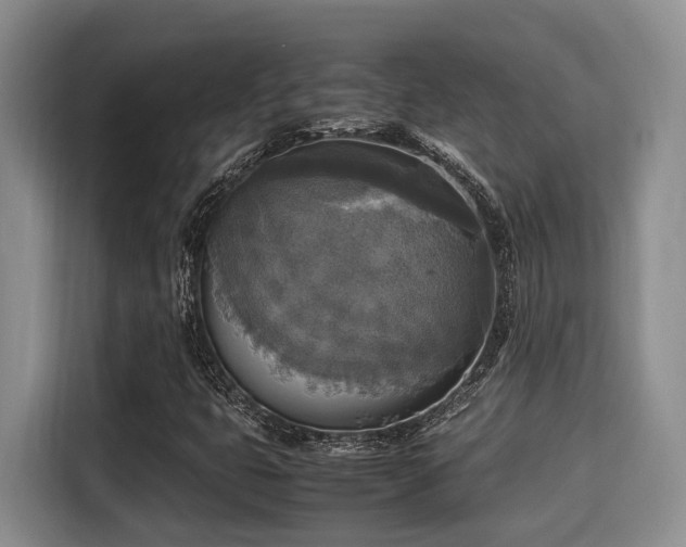 X0000115661399200911190955