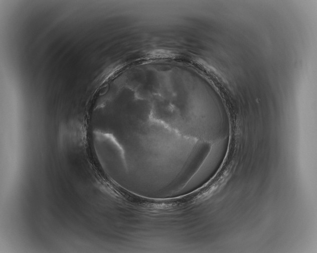 X0000115661401200911190955