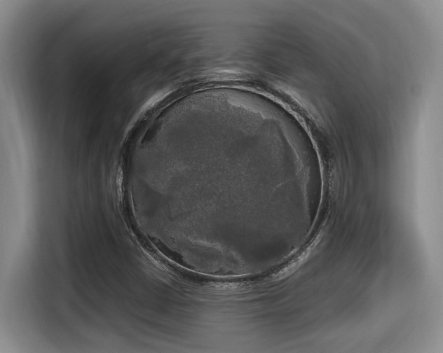 X0000115661402200911190955