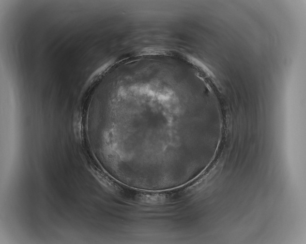 X0000115661403200911190955