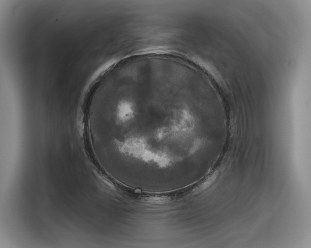 X0000115661406200911190955