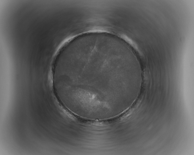X0000115661408200911190955