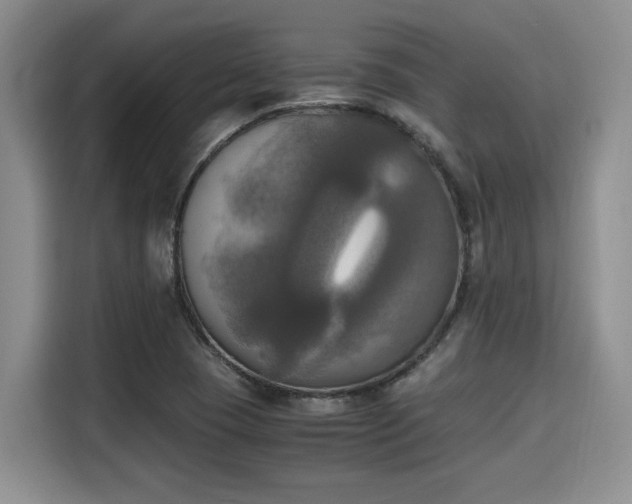 X0000115661409200911190955