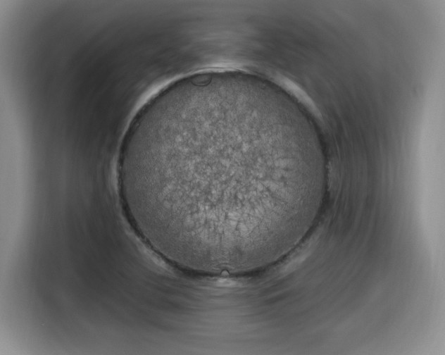 X0000115661412200911190956